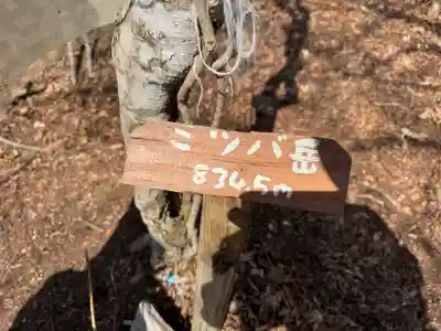 ビオトピア 弘法大師像の{uncategorized: "未分類", other: "その他", undefined: "問題あり", building: "その他建物", grave: "お墓", sacred_gate: "鳥居", guardian: "狛犬", statue: "像", buddha: "仏像", history: "歴史", nature: "自然", garden: "庭園", animal: "動物", pagoda: "塔", temizu: "手水舎", mountain_gate: "山門・神門", sanctuary: "本殿・本堂", subordinate: "末社・摂社", art: "芸術", scenery: "景色", jizo: "地蔵", ema: "絵馬", goshuin: "御朱印", omikuji: "おみくじ", items: "授与品その他", amulet: "お守り", goshuincho: "御朱印帳", eats: "食事", festival: "お祭り", votive_dance: "神楽", shichigosan: "七五三参", wedding: "結婚式", experience: "体験その他", initially: "初詣", around: "周辺", anti_infection: "感染症対策"}