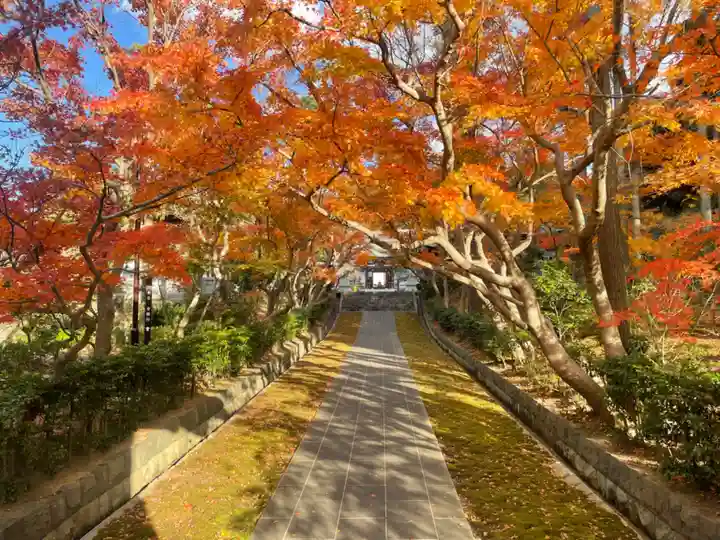 天嶽院(神奈川県)