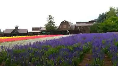 富良野神社の周辺