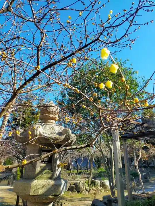 石光寺(奈良県)