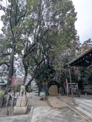 安居神社の{uncategorized: "未分類", other: "その他", undefined: "問題あり", building: "その他建物", grave: "お墓", sacred_gate: "鳥居", guardian: "狛犬", statue: "像", buddha: "仏像", history: "歴史", nature: "自然", garden: "庭園", animal: "動物", pagoda: "塔", temizu: "手水舎", mountain_gate: "山門・神門", sanctuary: "本殿・本堂", subordinate: "末社・摂社", art: "芸術", scenery: "景色", jizo: "地蔵", ema: "絵馬", goshuin: "御朱印", omikuji: "おみくじ", items: "授与品その他", amulet: "お守り", goshuincho: "御朱印帳", eats: "食事", festival: "お祭り", votive_dance: "神楽", shichigosan: "七五三参", wedding: "結婚式", experience: "体験その他", initially: "初詣", around: "周辺", anti_infection: "感染症対策"}