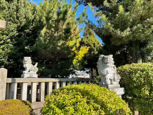 若宮八幡神社の狛犬