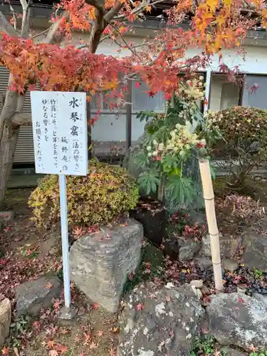 延命寺(身代り不動尊)のその他建物