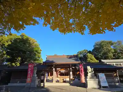 亀ケ池八幡宮(神奈川県)