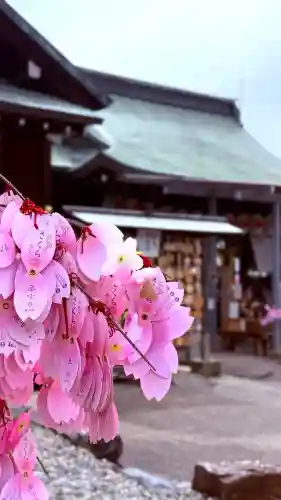 針綱神社の{uncategorized: "未分類", other: "その他", undefined: "問題あり", building: "その他建物", grave: "お墓", sacred_gate: "鳥居", guardian: "狛犬", statue: "像", buddha: "仏像", history: "歴史", nature: "自然", garden: "庭園", animal: "動物", pagoda: "塔", temizu: "手水舎", mountain_gate: "山門・神門", sanctuary: "本殿・本堂", subordinate: "末社・摂社", art: "芸術", scenery: "景色", jizo: "地蔵", ema: "絵馬", goshuin: "御朱印", omikuji: "おみくじ", items: "授与品その他", amulet: "お守り", goshuincho: "御朱印帳", eats: "食事", festival: "お祭り", votive_dance: "神楽", shichigosan: "七五三参", wedding: "結婚式", experience: "体験その他", initially: "初詣", around: "周辺", anti_infection: "感染症対策"}