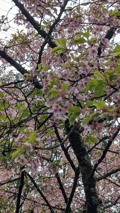 惠心院(京都府)