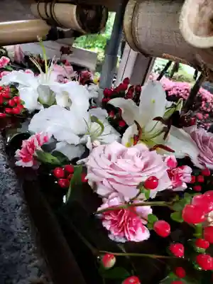 鳩森八幡神社(東京都)