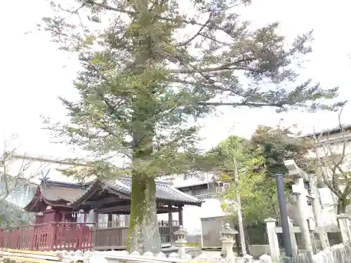 荒胡子神社の景色