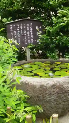 極楽寺(霊鷲山感應院極楽律寺)の歴史