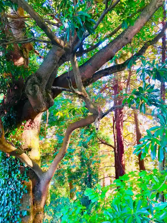 太平山神社(栃木県)