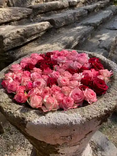 丹生都比売神社の手水舎