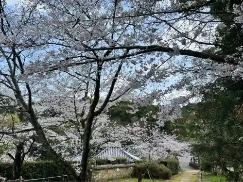 十禅律院(和歌山県)