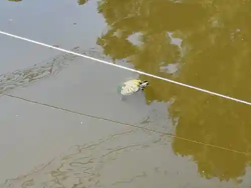 市原稲荷神社(愛知県)