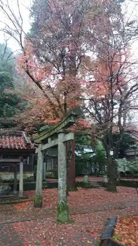 金剱宮の鳥居