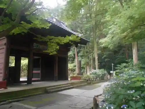 妙本寺の山門