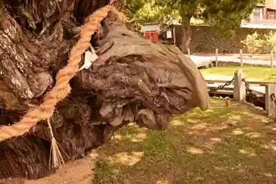 寶生院(香川県)