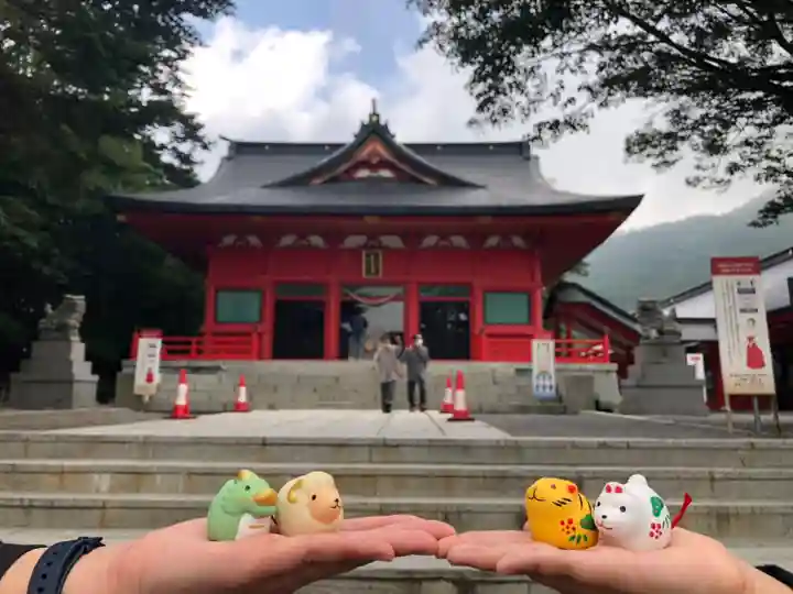 赤城神社のおみくじ