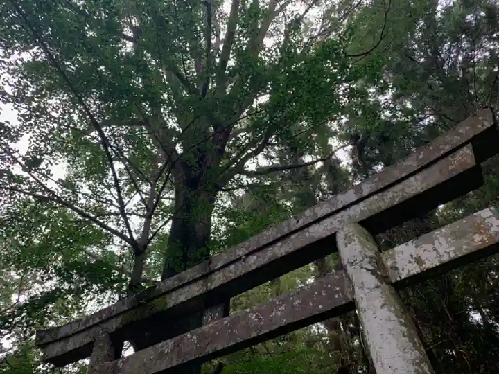 風早不動尊の鳥居