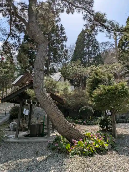 船魂神社の{uncategorized: "未分類", other: "その他", undefined: "問題あり", building: "その他建物", grave: "お墓", sacred_gate: "鳥居", guardian: "狛犬", statue: "像", buddha: "仏像", history: "歴史", nature: "自然", garden: "庭園", animal: "動物", pagoda: "塔", temizu: "手水舎", mountain_gate: "山門・神門", sanctuary: "本殿・本堂", subordinate: "末社・摂社", art: "芸術", scenery: "景色", jizo: "地蔵", ema: "絵馬", goshuin: "御朱印", omikuji: "おみくじ", items: "授与品その他", amulet: "お守り", goshuincho: "御朱印帳", eats: "食事", festival: "お祭り", votive_dance: "神楽", shichigosan: "七五三参", wedding: "結婚式", experience: "体験その他", initially: "初詣", around: "周辺", anti_infection: "感染症対策"}