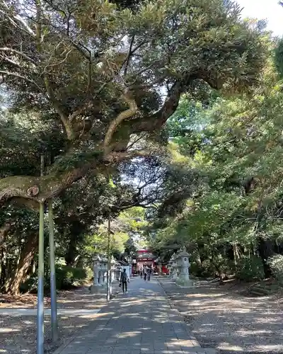 息栖神社の建物その他