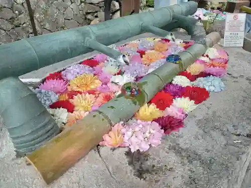 岡寺（龍蓋寺）(奈良県)