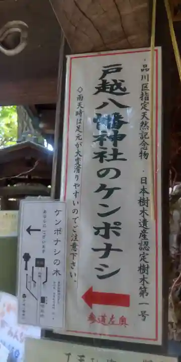 戸越八幡神社(東京都)