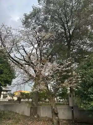 簳幹八幡宮(東京都)