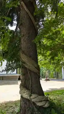 日高神社(北海道)