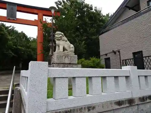 稲毛浅間神社の狛犬