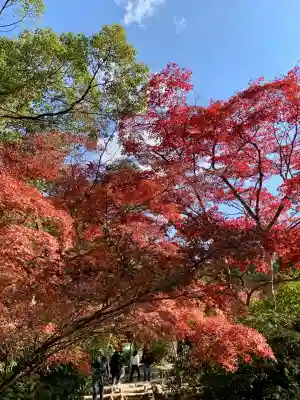 四宮神社(広島県)