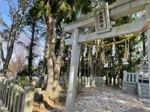 枚岡神社の鳥居