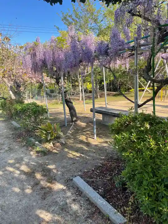 貴船神社の自然