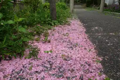 神足神社の自然