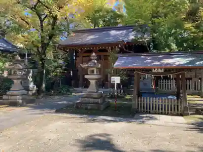 仲町氷川神社の本殿・本堂