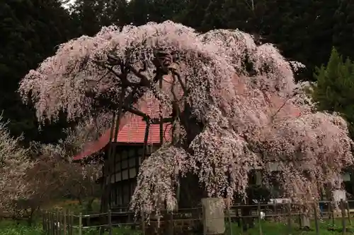 永泉寺の庭園