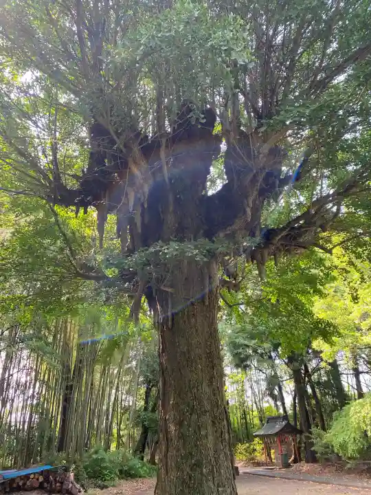 神岡稲荷神社(茨城県)