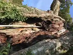 日枝神社の周辺