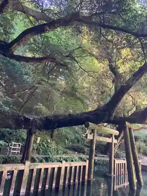 鹿島神宮(茨城県)
