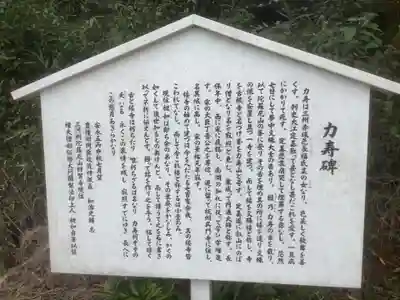 舌根寺廃寺・力寿の桜(愛知県)