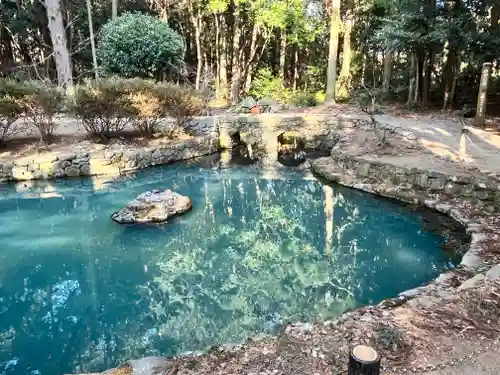 大麻比古神社(徳島県)