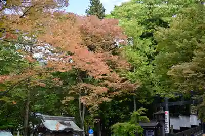 諏訪大社下社秋宮(長野県)