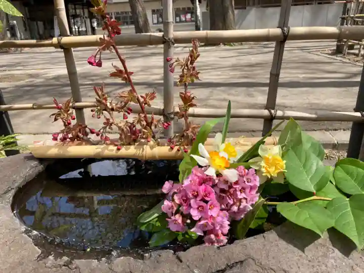 新琴似神社の手水舎