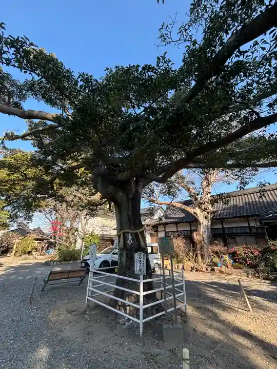 生根神社(大阪府)