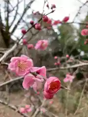 播州清水寺の自然