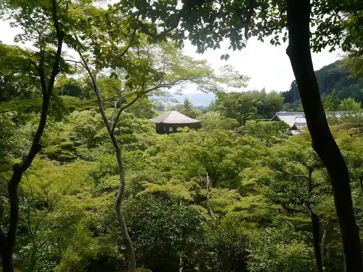 慈照寺(慈照禅寺・銀閣寺)の庭園
