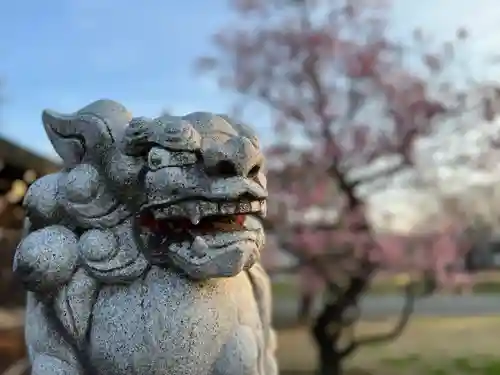 湯島天満宮(長野分社)の狛犬