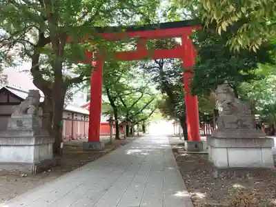 花園神社の鳥居