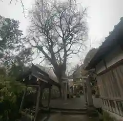 素盞雄神社(奈良県)