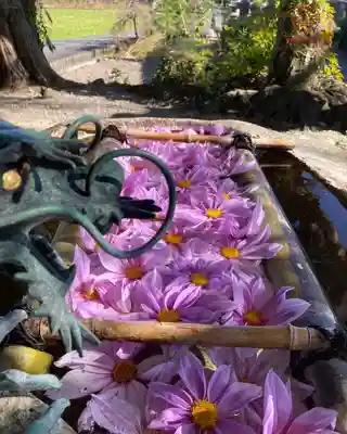 立志神社(滋賀県)