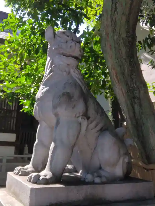 鳥越神社(東京都)